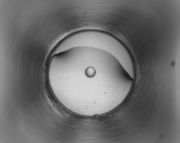 X0000115490436200912041019
