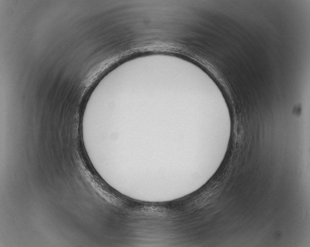 X0000115490437200912041019