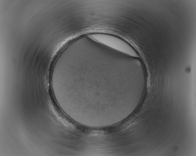 X0000115490438200912041019