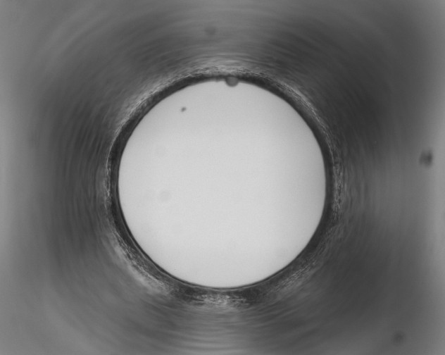 X0000115490439200912041019
