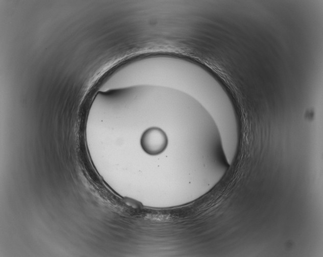 X0000115490440200912041019
