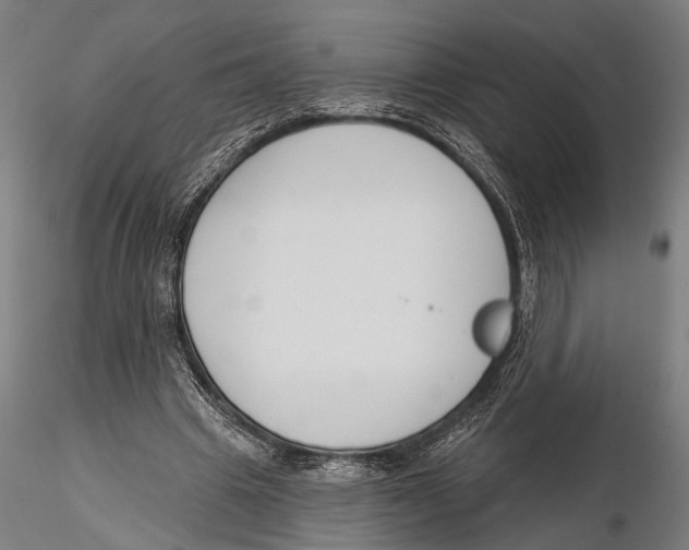 X0000115490441200912041019