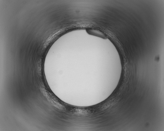 X0000115490442200912041019
