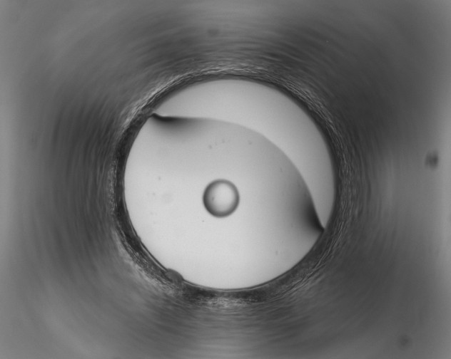 X0000115490444200912041019