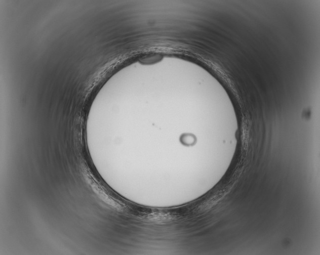 X0000115490445200912041019