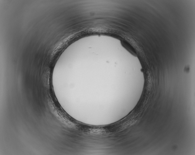 X0000115490446200912041019