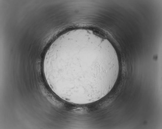 X0000115490447200912041019