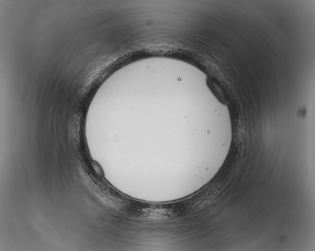X0000115490448200912041019