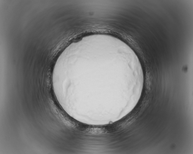 X0000115490449200912041019