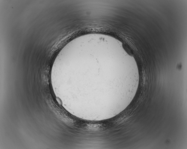 X0000115490450200912041019
