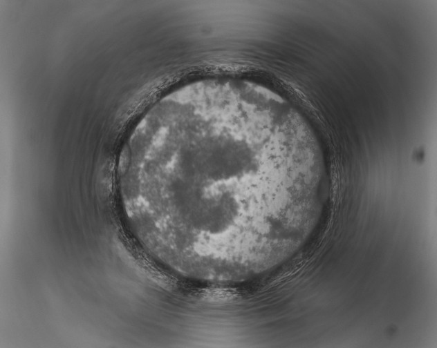 X0000115490451200912041019