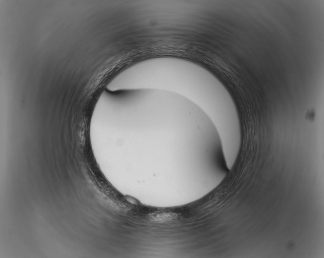 X0000115490452200912041019