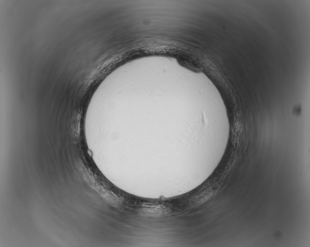 X0000115490454200912041019