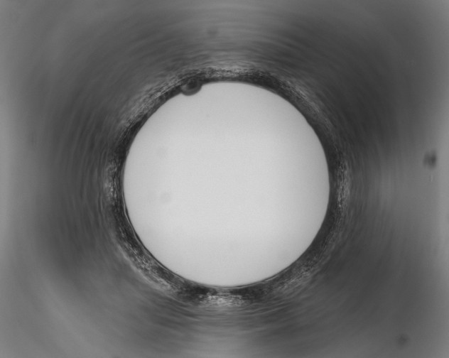 X0000115490455200912041019
