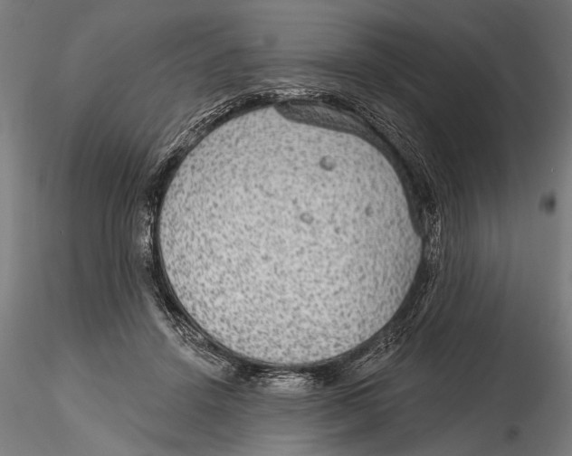 X0000115490456200912041019
