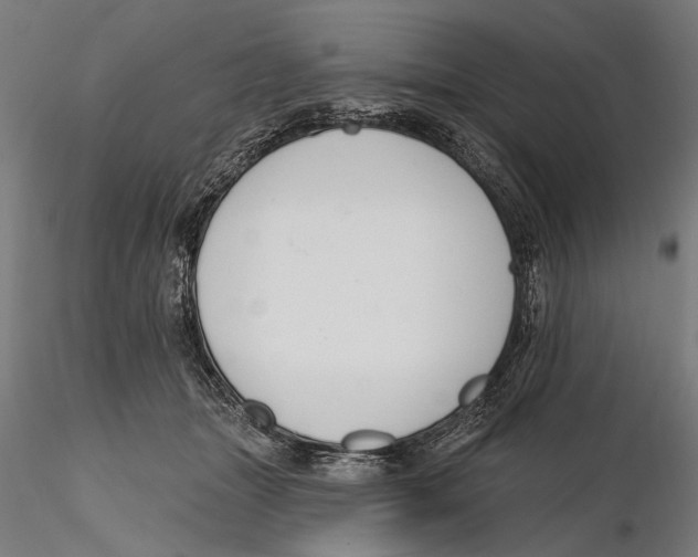 X0000115490463200912041019