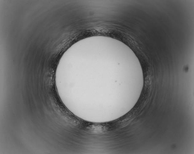 X0000115490464200912041019