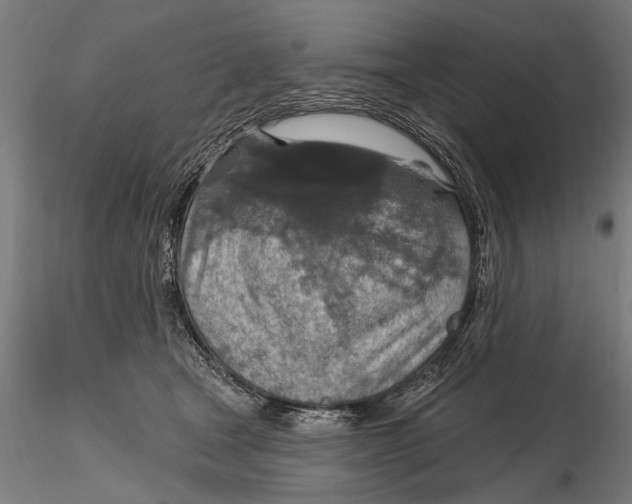 X0000115490465200912041019