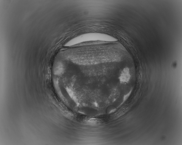 X0000115490467200912041019