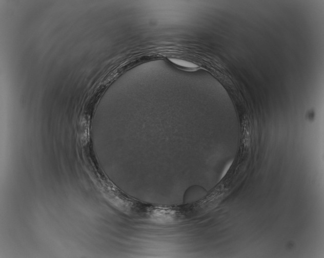 X0000115490471200912041019
