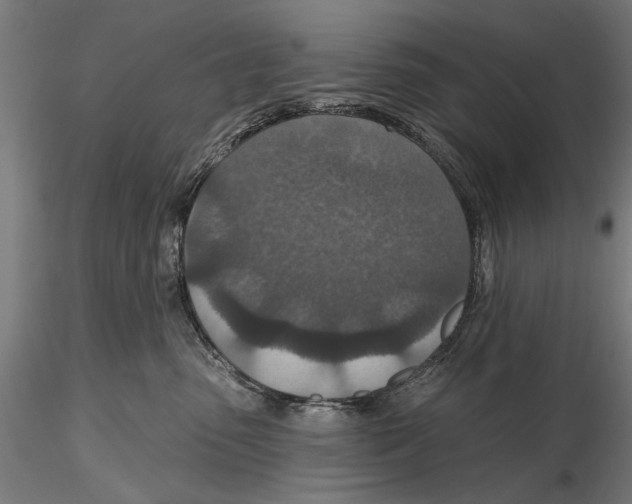 X0000115490475200912041019