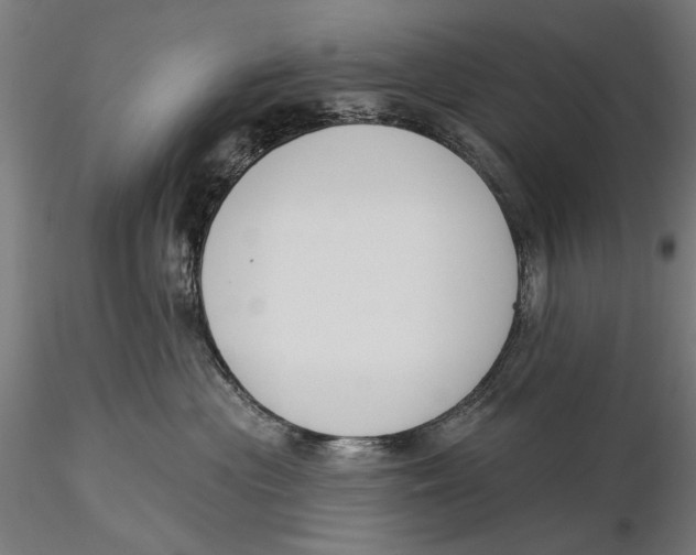 X0000115490477200912041019