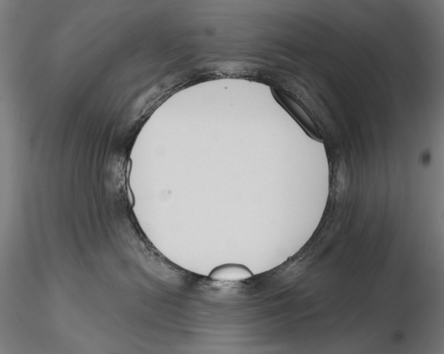 X0000115490478200912041020