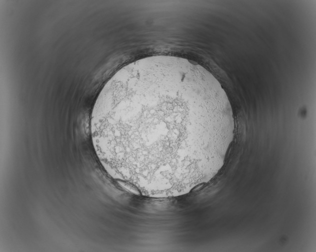 X0000115490479200912041020