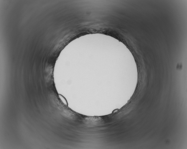 X0000115490480200912041020