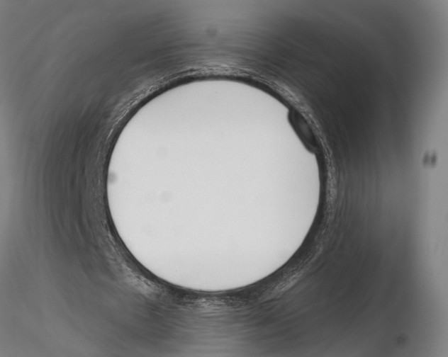 X0000115490481200912041019