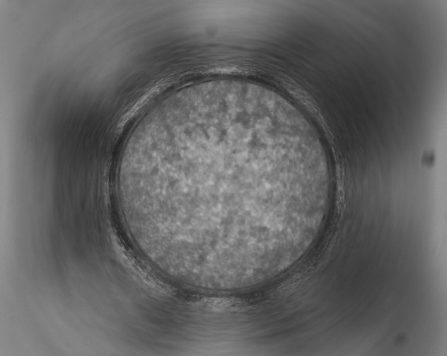 X0000115490482200912041019