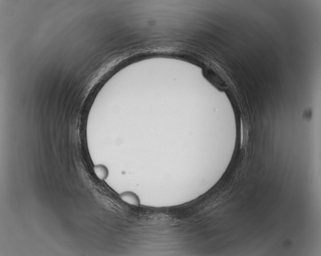 X0000115490483200912041019