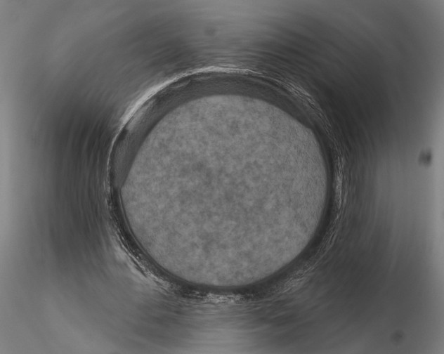 X0000115490484200912041019