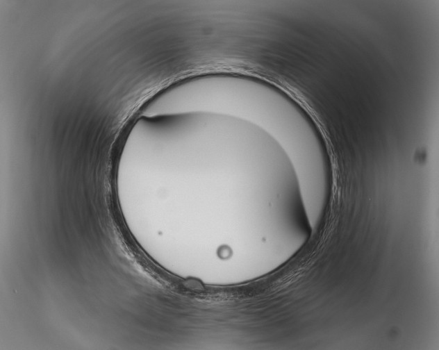X0000115490485200912041019