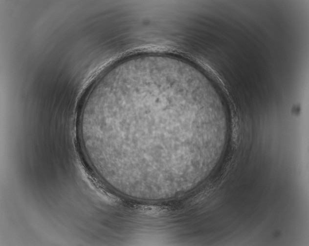 X0000115490486200912041019