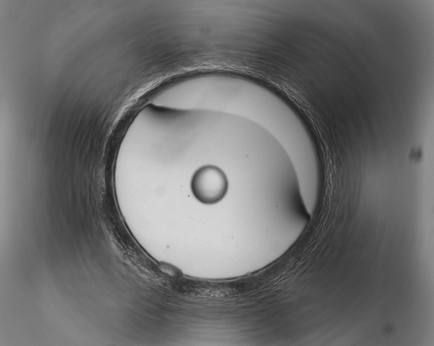 X0000115490488200912041019