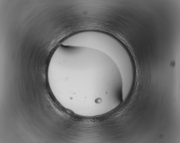X0000115490489200912041019
