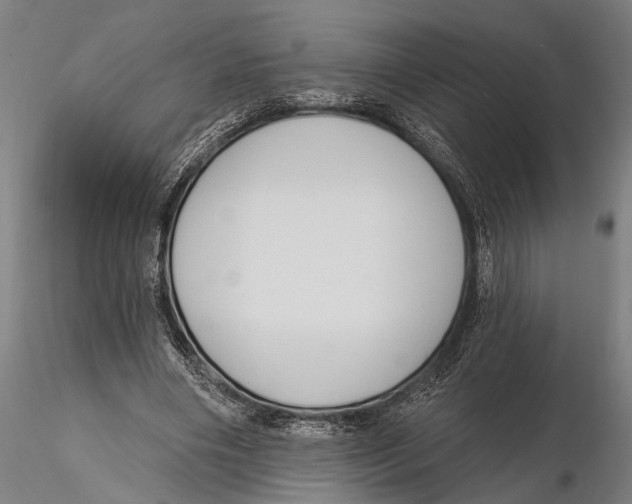 X0000115490490200912041019