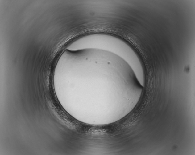 X0000115490491200912041019