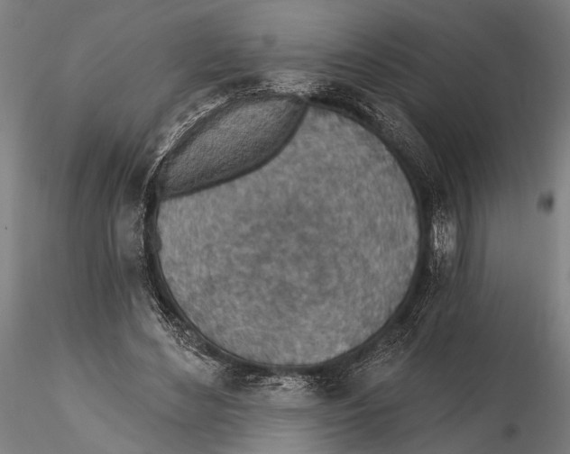 X0000115490492200912041019