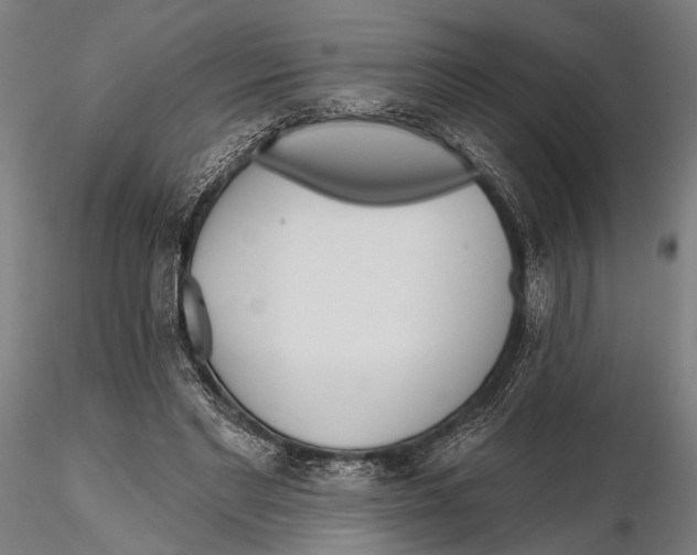 X0000115490493200912041019