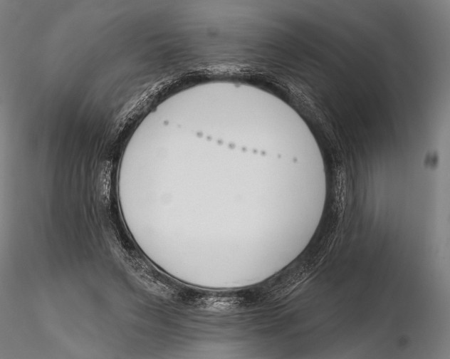 X0000115490495200912041019