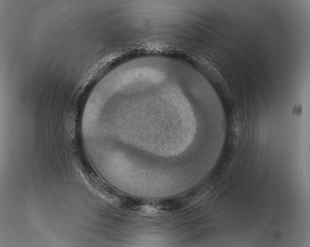 X0000115490496200912041019