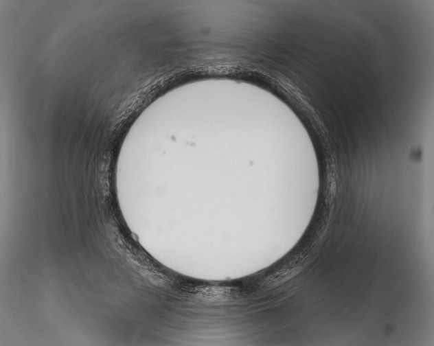 X0000115490497200912041019