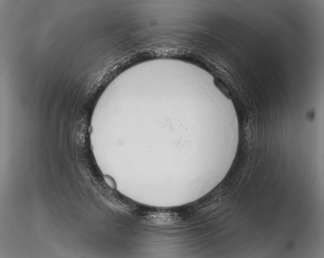 X0000115490499200912041019