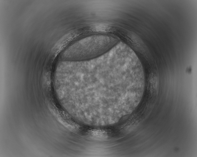 X0000115490500200912041019