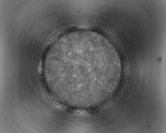 X0000115490502200912041019