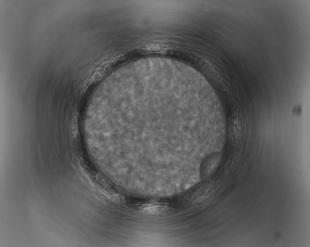 X0000115490504200912041019