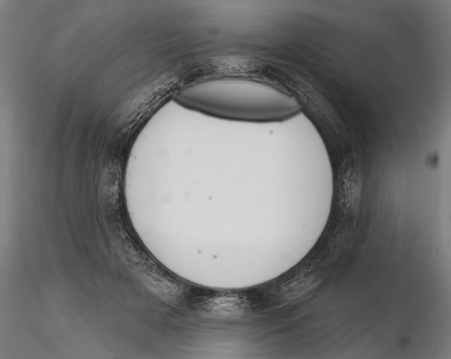 X0000115490505200912041019