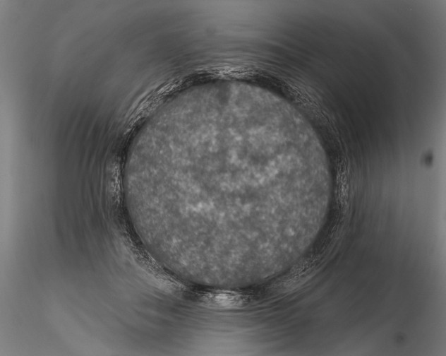 X0000115490506200912041019